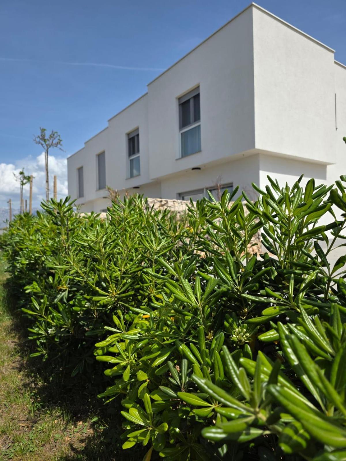 Villa Bura House Povljana Exterior foto